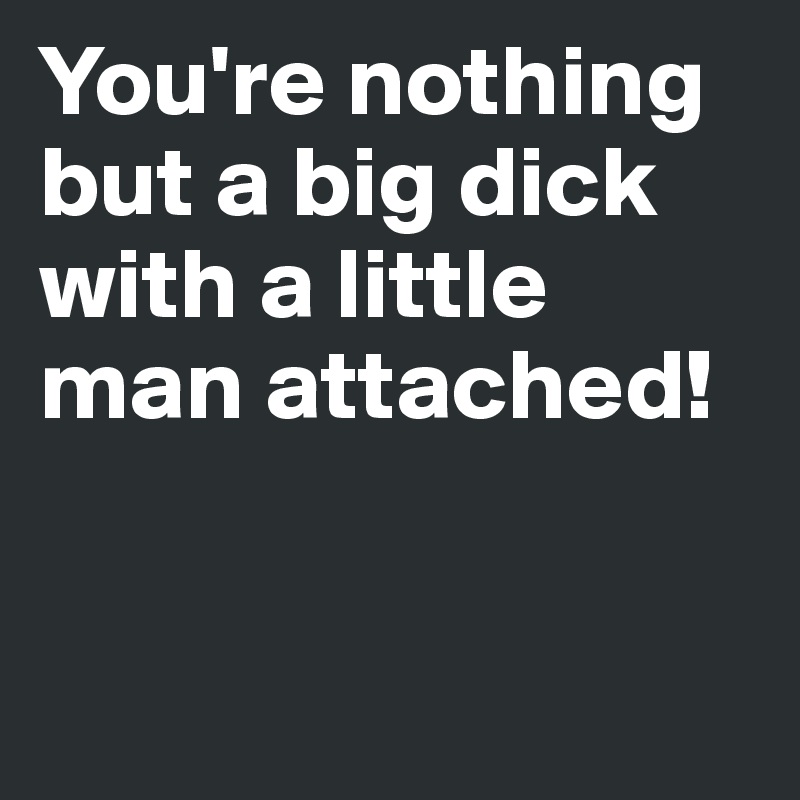 Little Man Big Dick